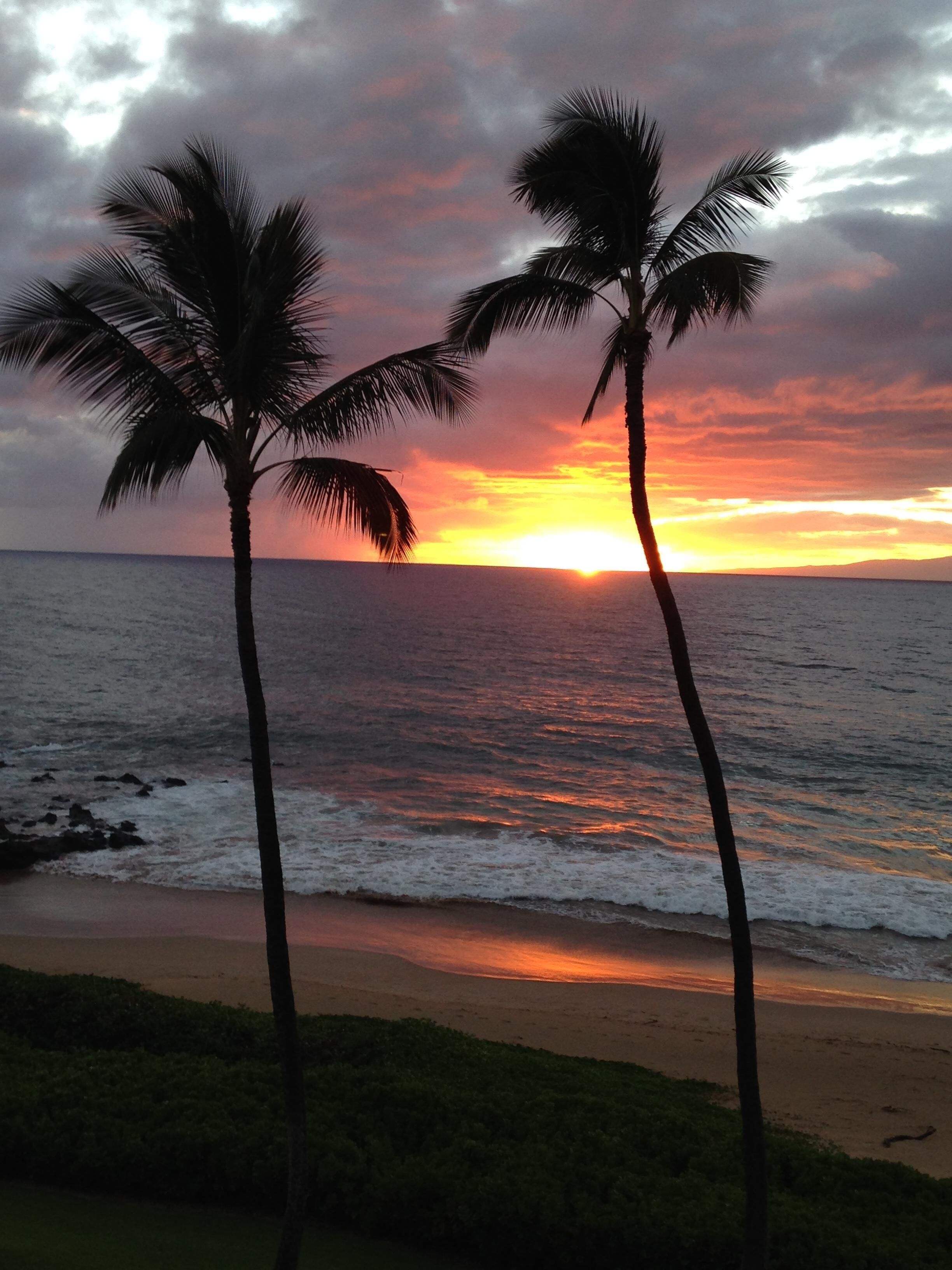 On the beach, sun loungers, beach towels