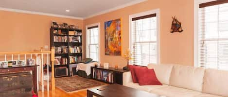 TV, DVD player, books, music library