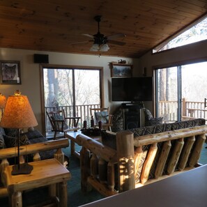 Smart TV, fireplace, DVD player, books