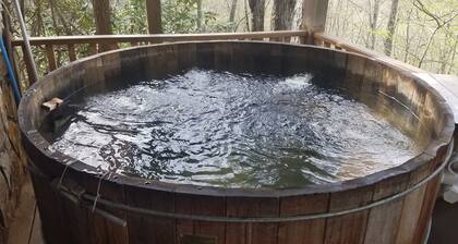 The Pines Mountain Cabin - 3 Bd-2 Ba, Hot tub, Star Link