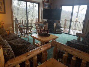 Smart TV, fireplace, DVD player, books