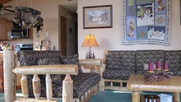 Älytelevisio, takka, DVD-soitin, kirjoja