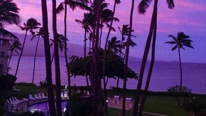 A view of tall palm trees and a body of water, likely a beach, with a clear sky.