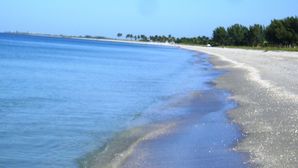 A beach with clear blue water, sandy shore, and a line of trees in the background.