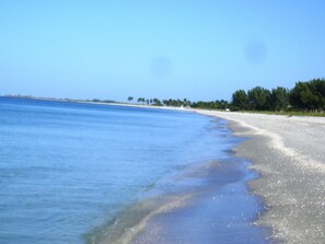 En strand med klart blåt vand, sandet bredde og en række træer i baggrunden.