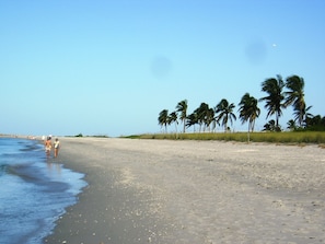 Liegestühle, Strandtücher