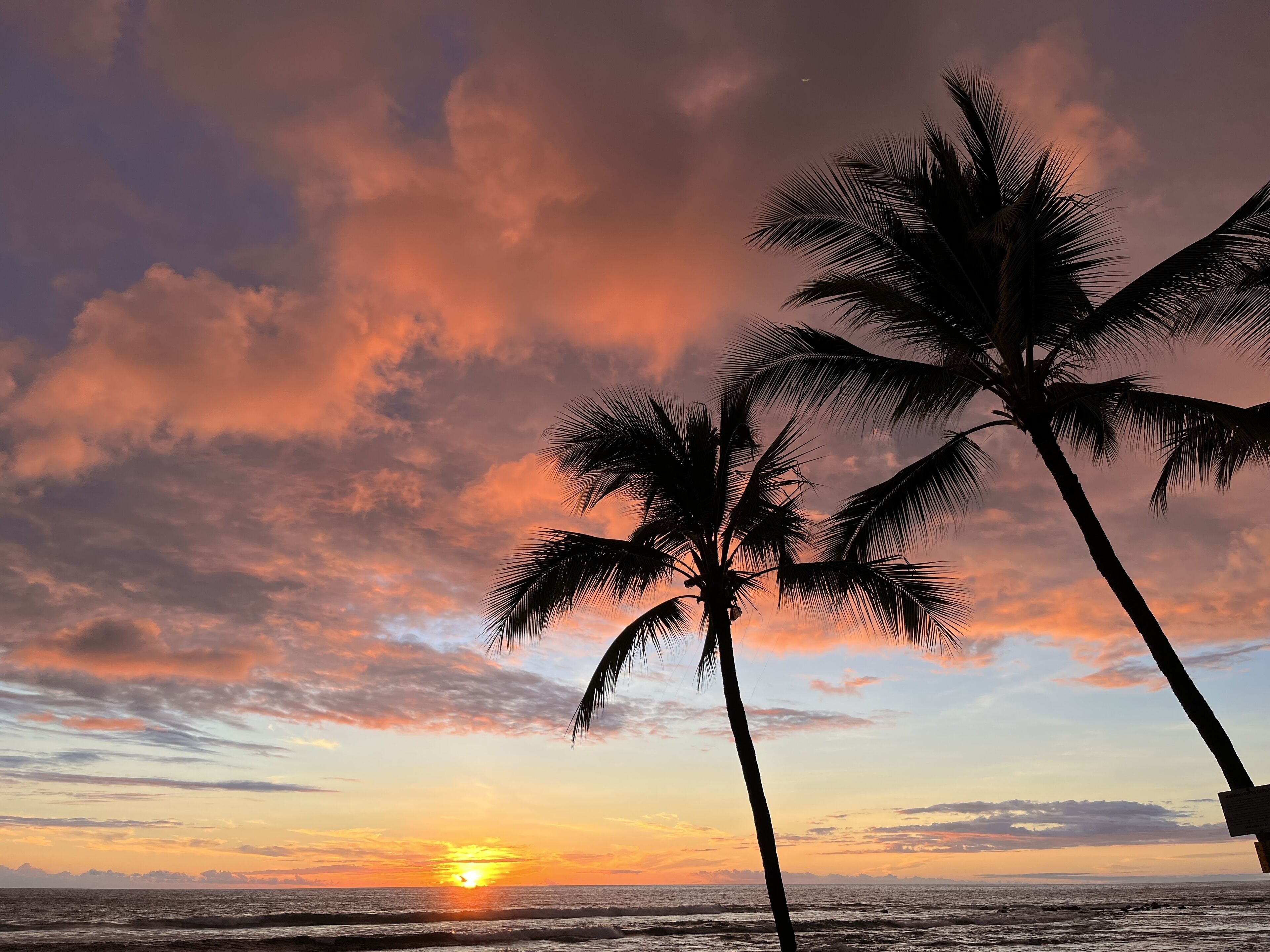 Beach nearby, sun loungers, beach towels