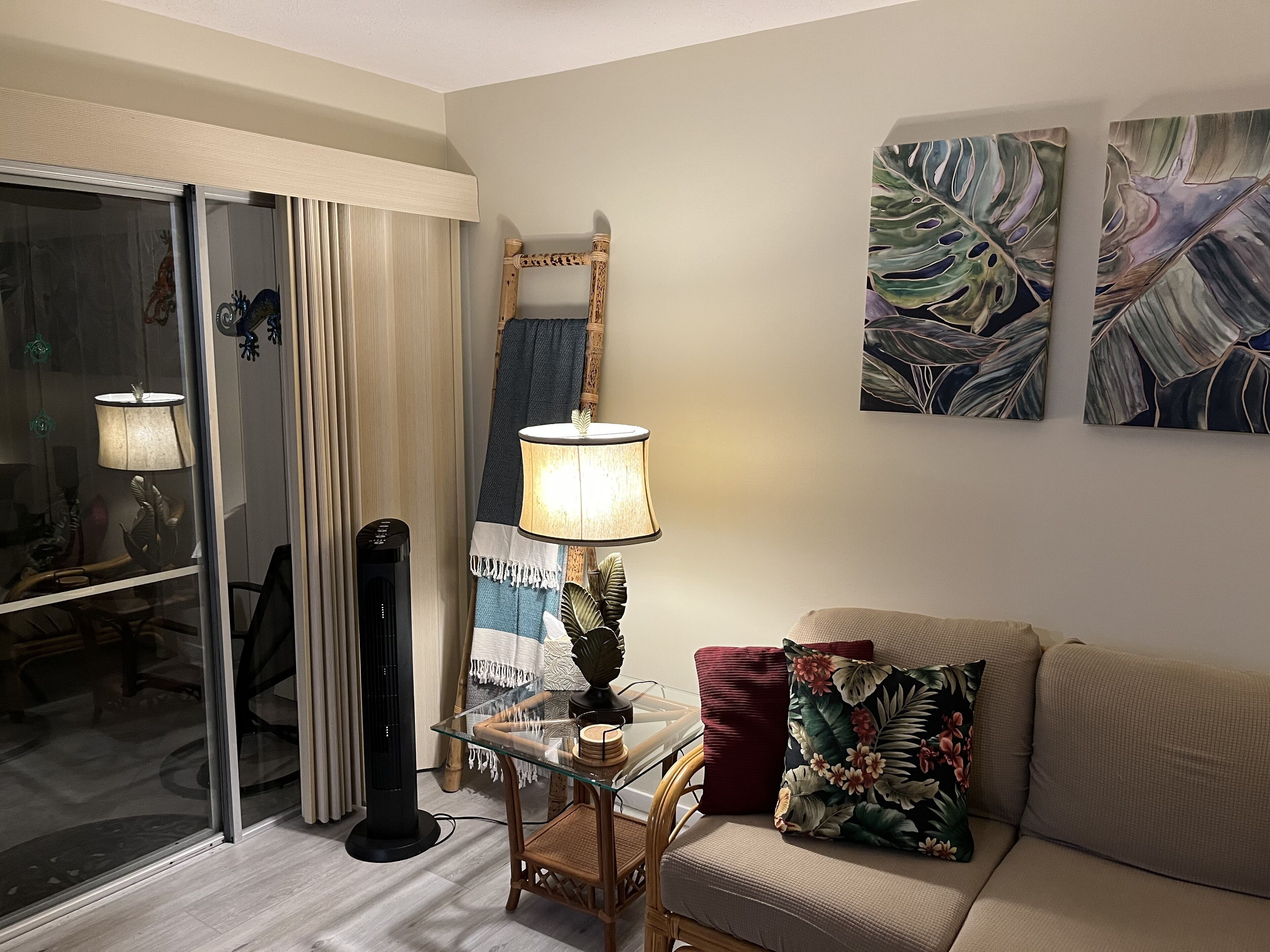 Smart TV, DVD player, books, stereo