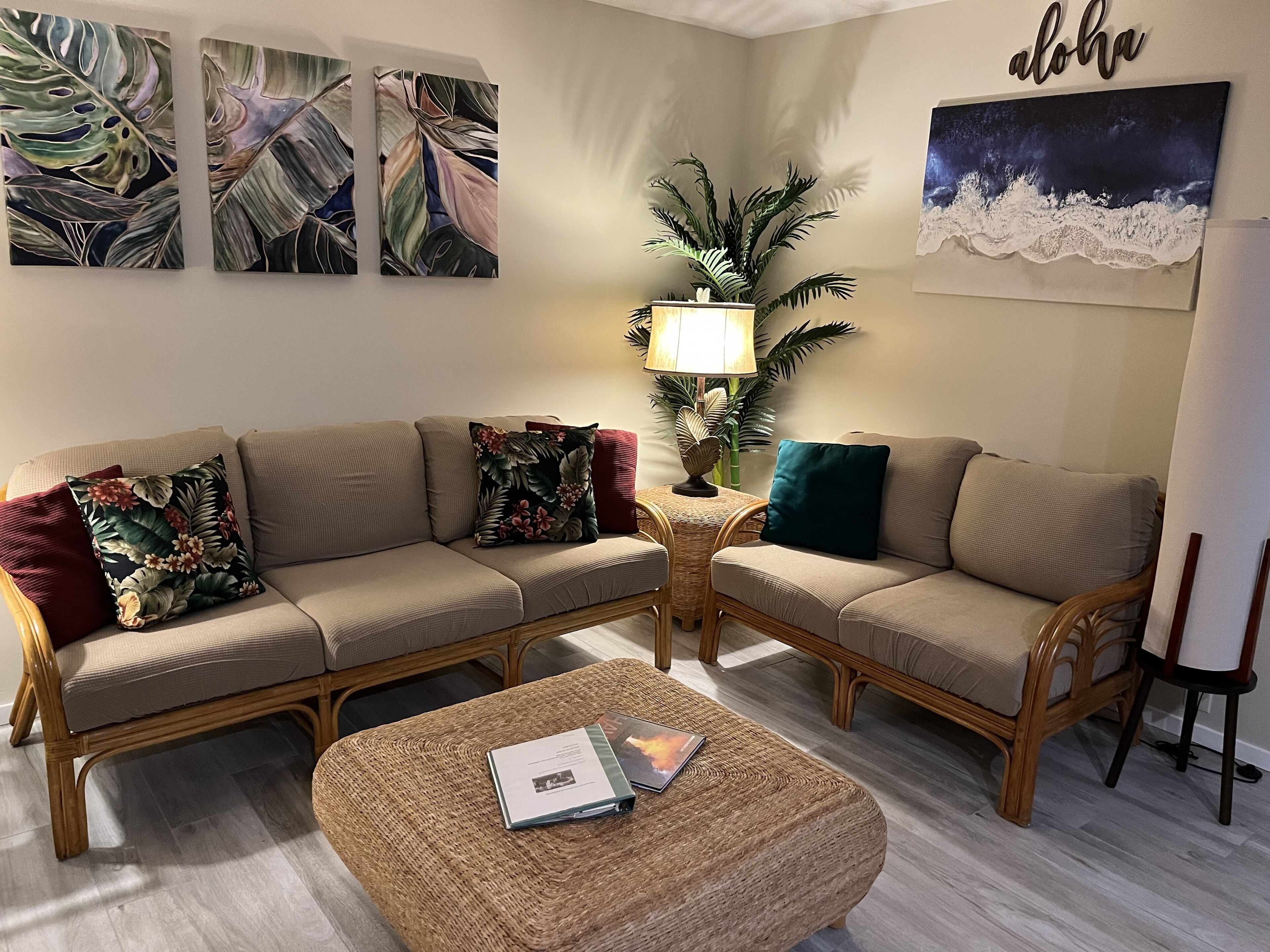 Smart TV, DVD player, books, stereo