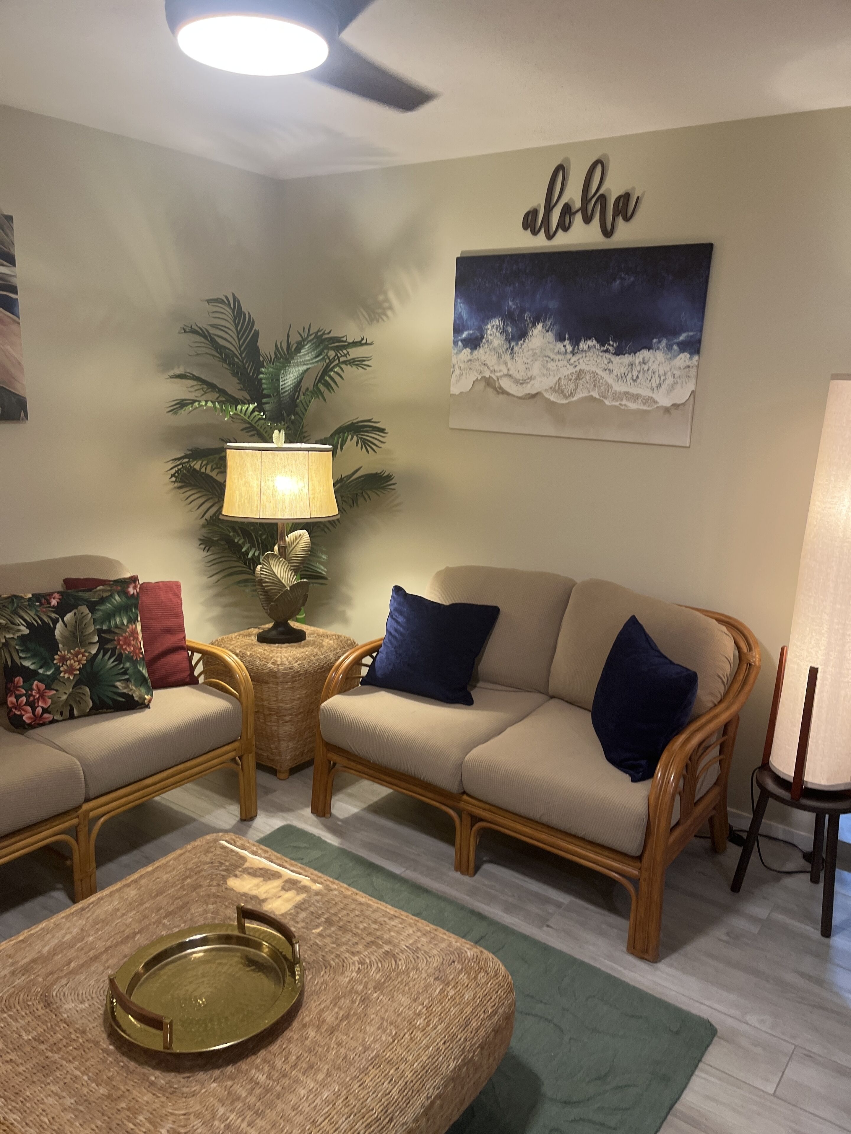 Smart TV, DVD player, books, stereo