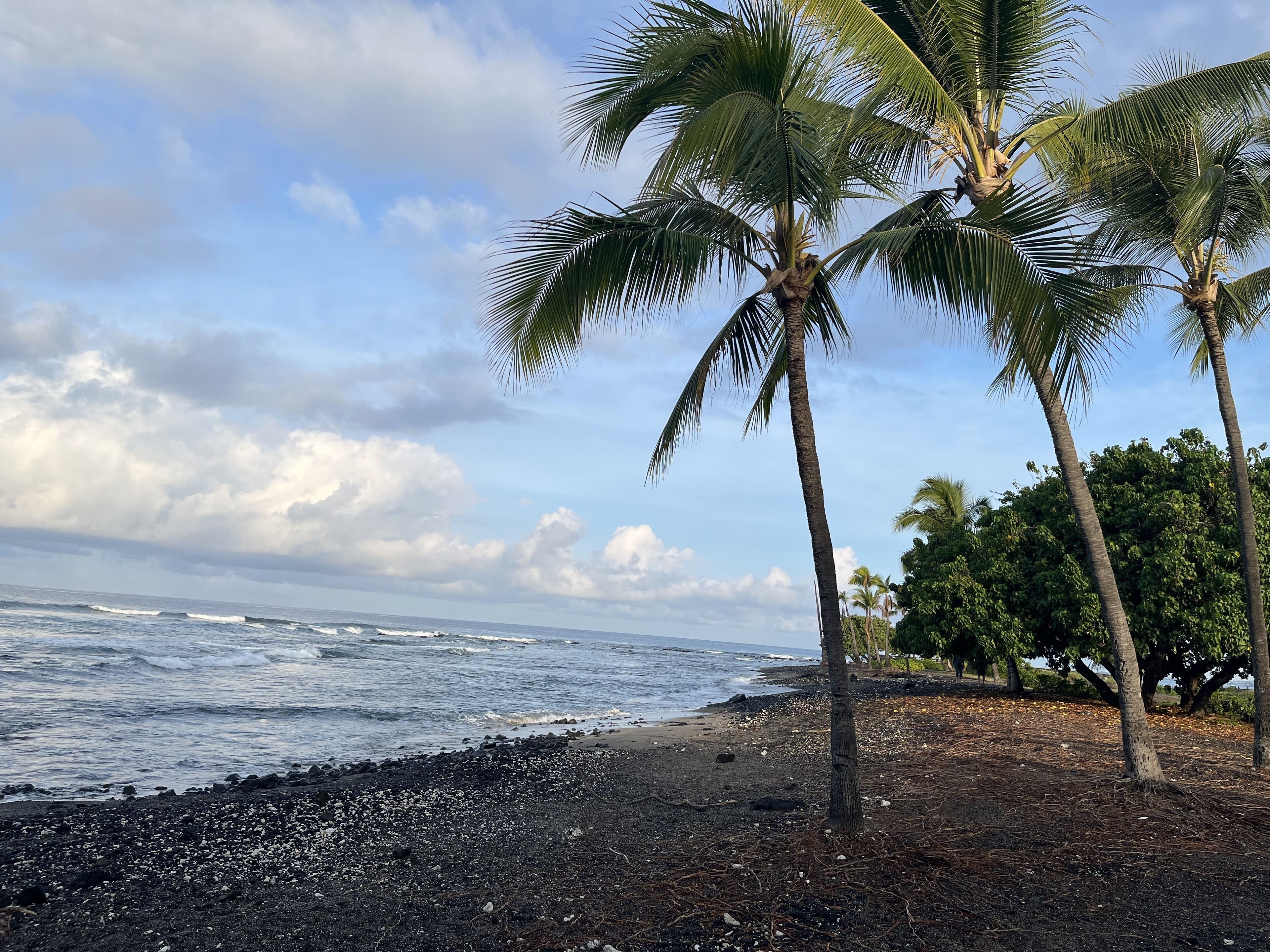 Beach nearby, sun loungers, beach towels