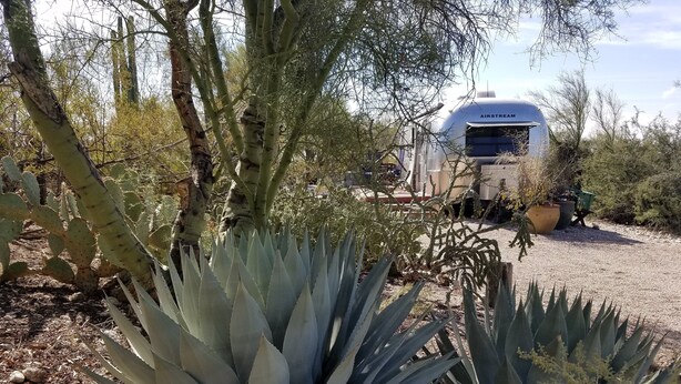 A desert landscape with agave plants and a white RV parked in the background. - Unique Retreat - Airstream in Central Location - Remote Feeling. (Tucson)