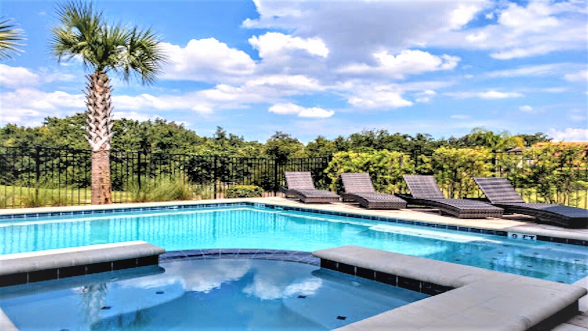A swimming pool with lounge chairs and a palm tree.