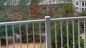 A view from a balcony overlooking a body of water, trees, and distant buildings. - Bay views & sunsets in the Grand Sandestin! Baytowne Wharf Village (Destin)