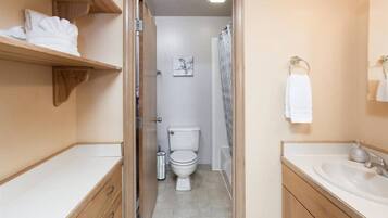Hair dryer, towels
