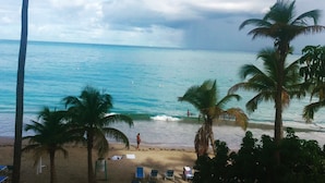 A beach with palm trees, a sandy shore, and a view of the ocean.