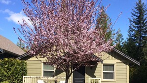 Une maison avec un porche à l’avant, un petit arbre aux fleurs roses et une allée gravillonnée.