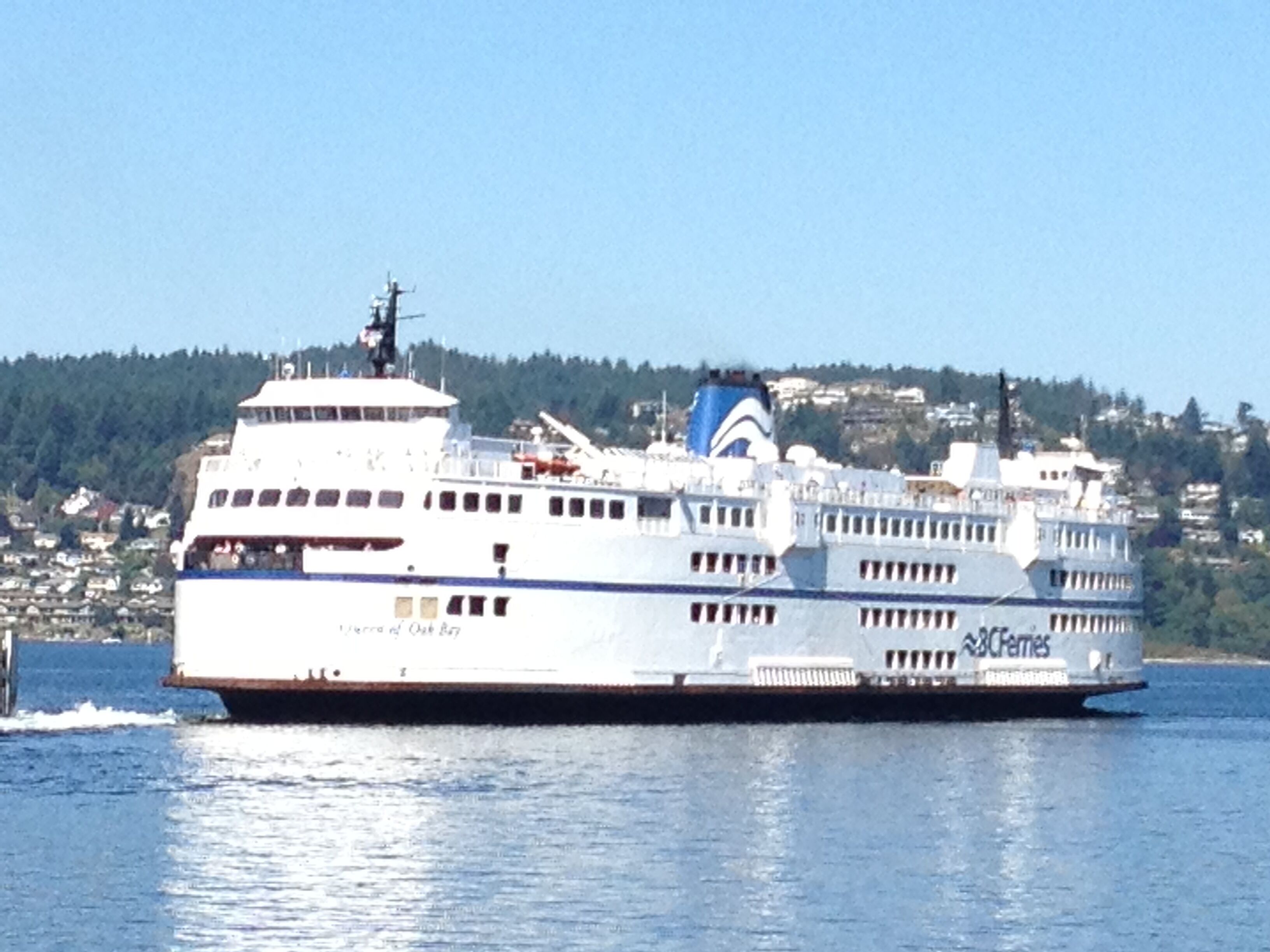 A ferry with multiple decks and a blue and white logo, traveling on water with a residential area in the background.