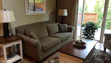 TV, fireplace, DVD player, books