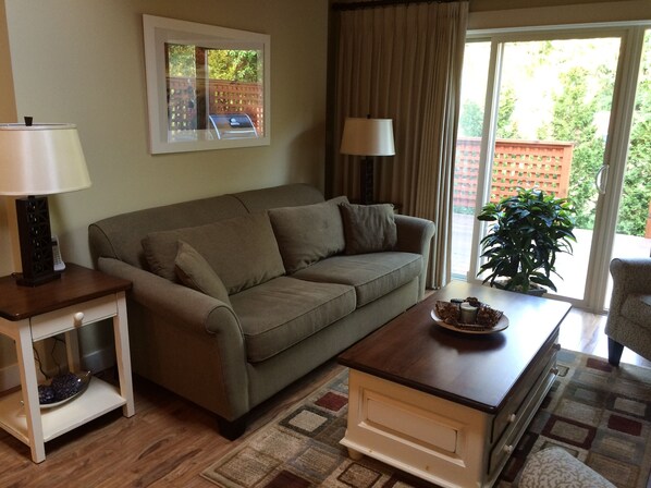 TV, fireplace, DVD player, books