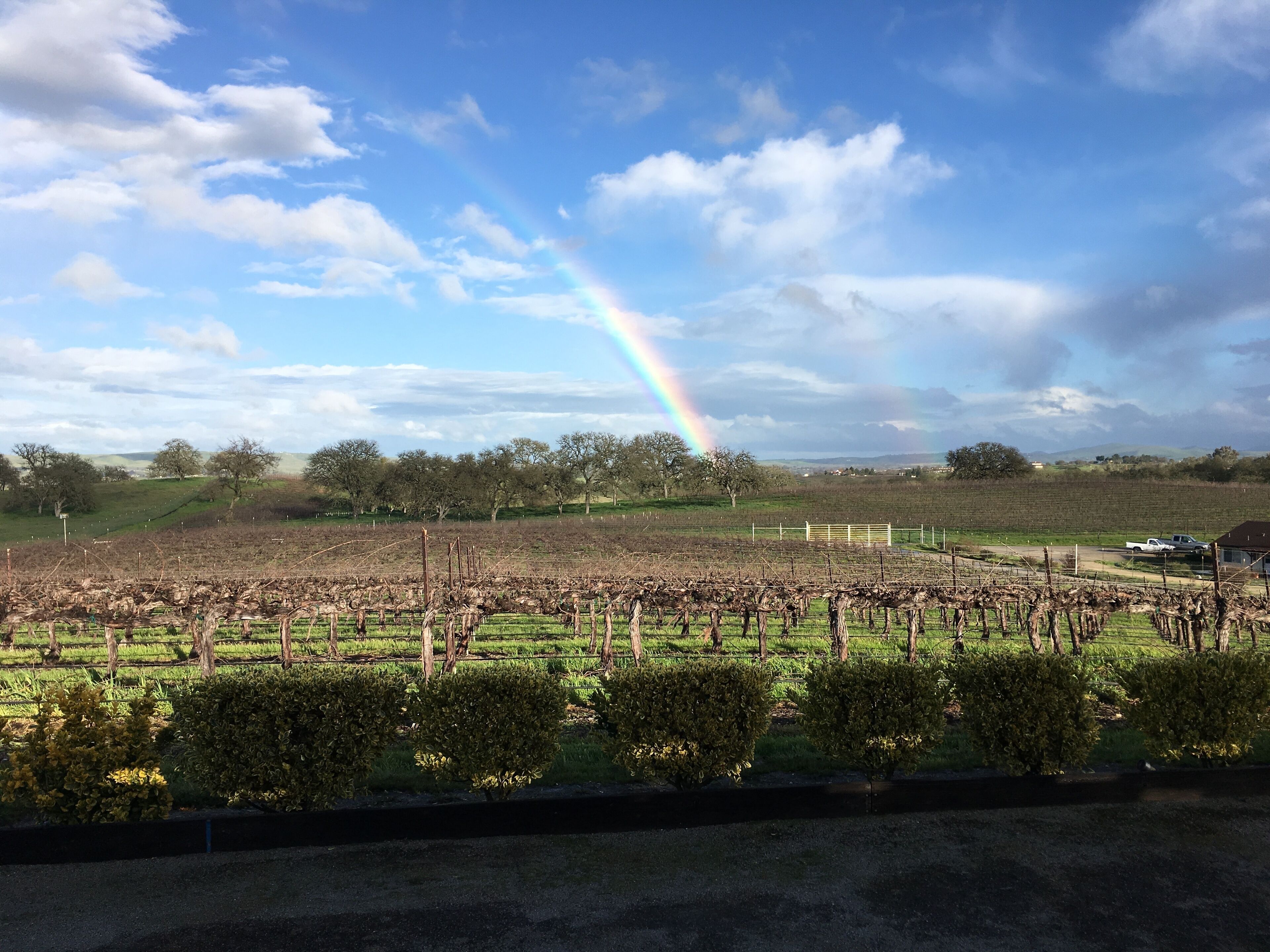 Double Rainbow on the vineyard!