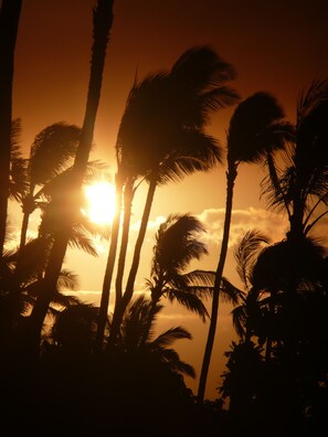 Exterior - Beautiful fully AC 2 BR/2BA Kanai a Nalu beachfront condo 20 ft from the waves  (Wailuku)