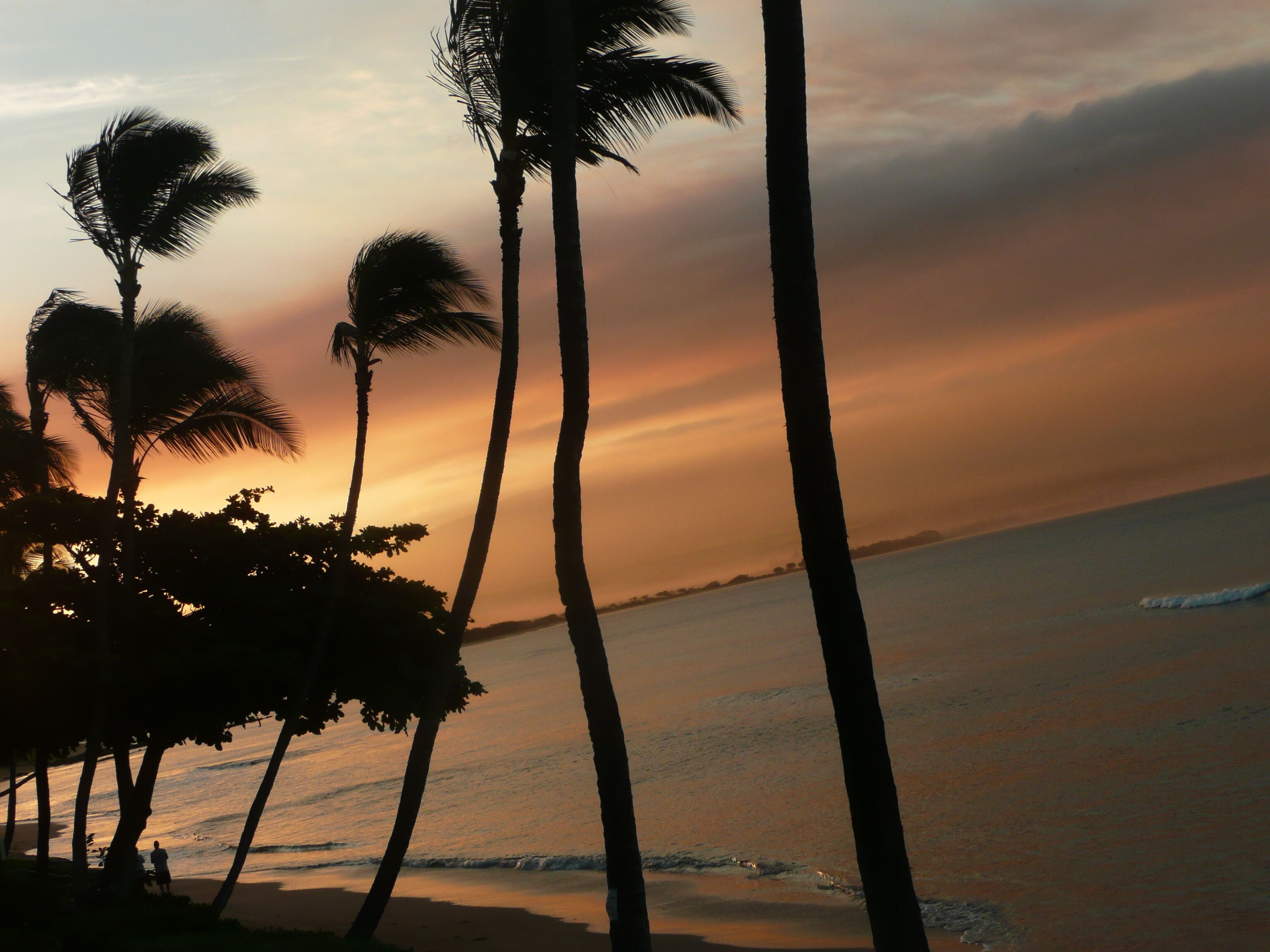 On the beach, sun loungers, beach towels