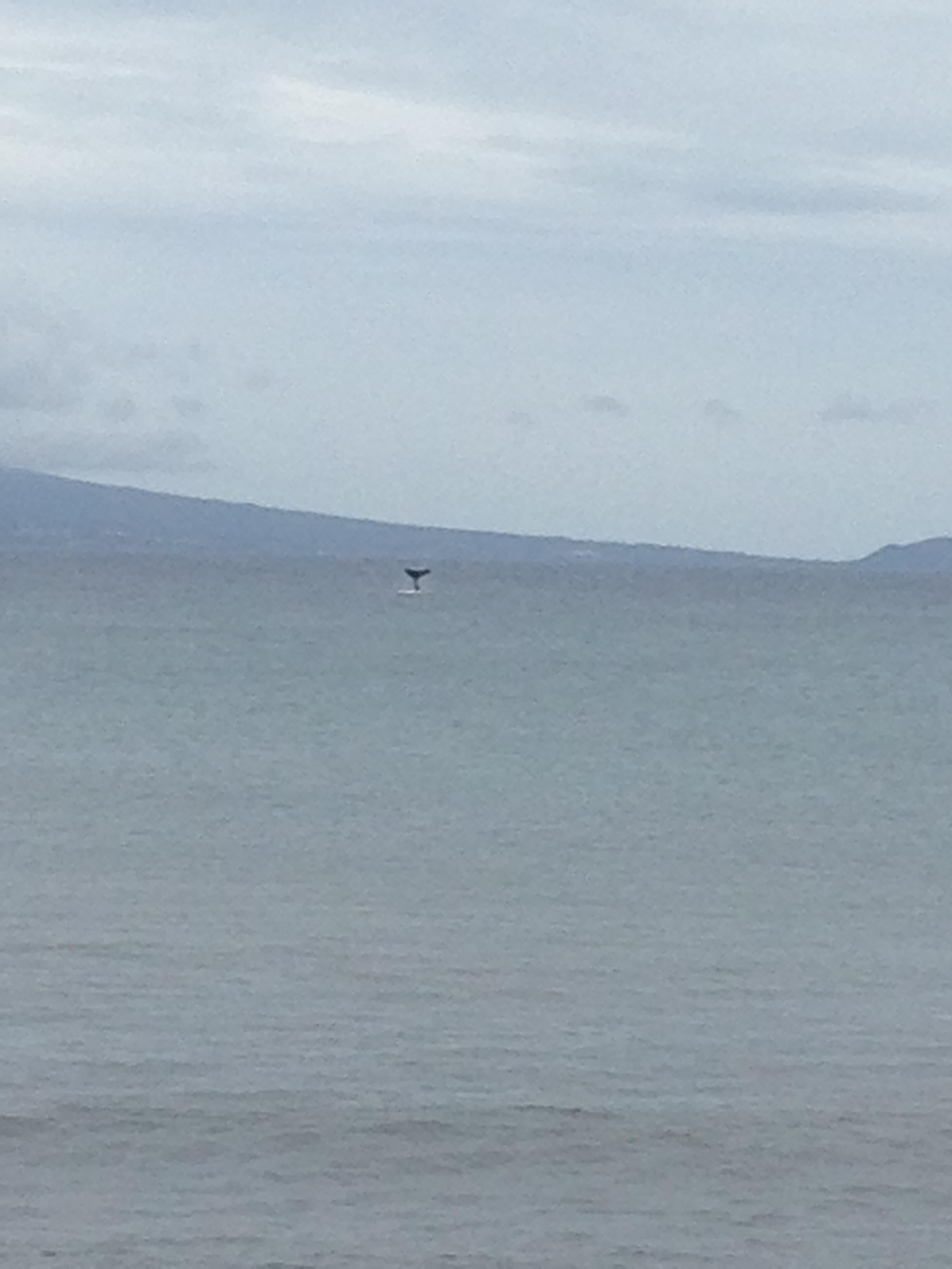 On the beach, sun loungers, beach towels