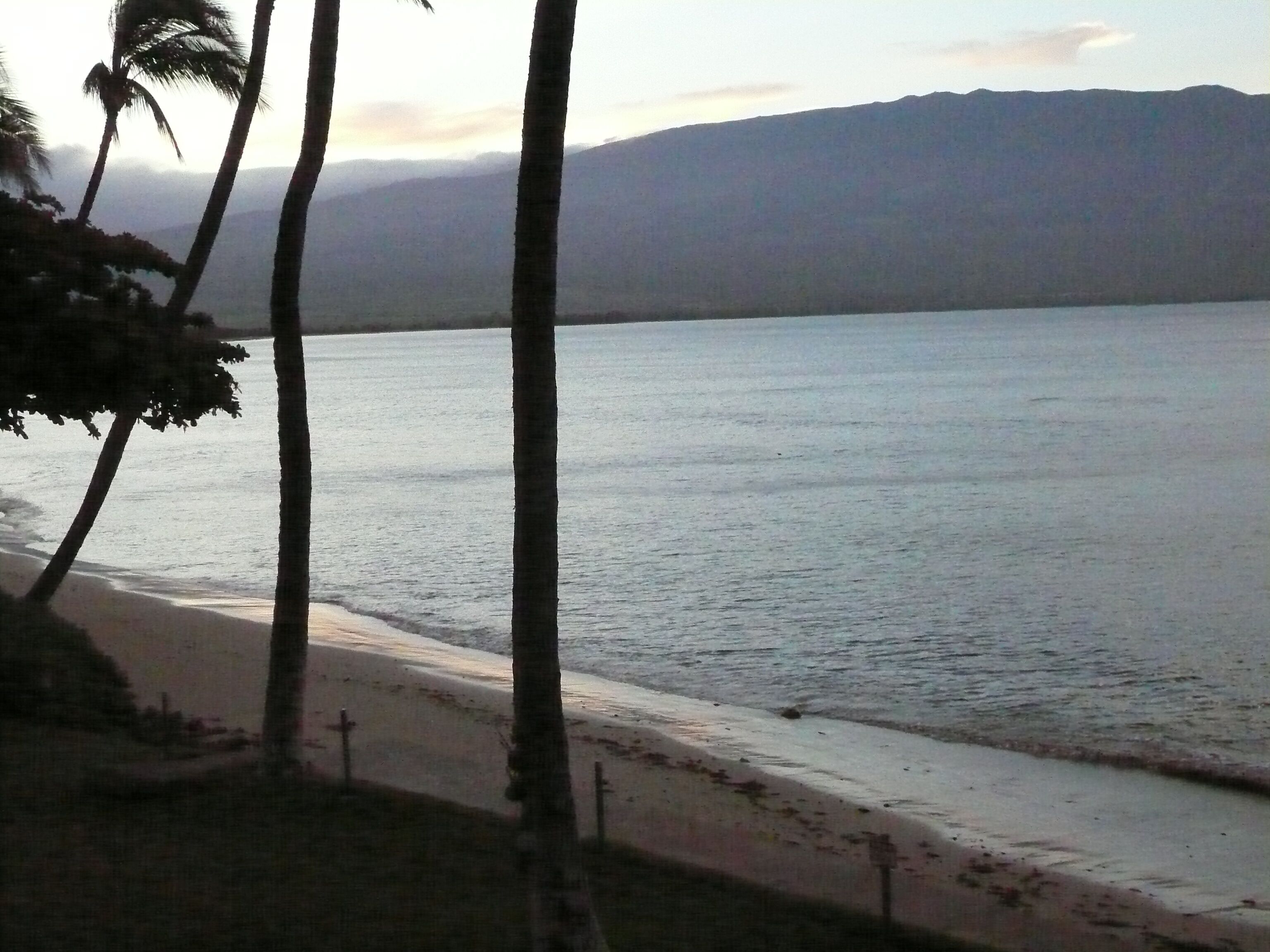 On the beach, sun loungers, beach towels