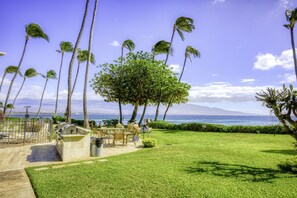 Outdoor dining - Beautiful fully AC 2 BR/2BA Kanai a Nalu beachfront condo 20 ft from the waves  (Wailuku)
