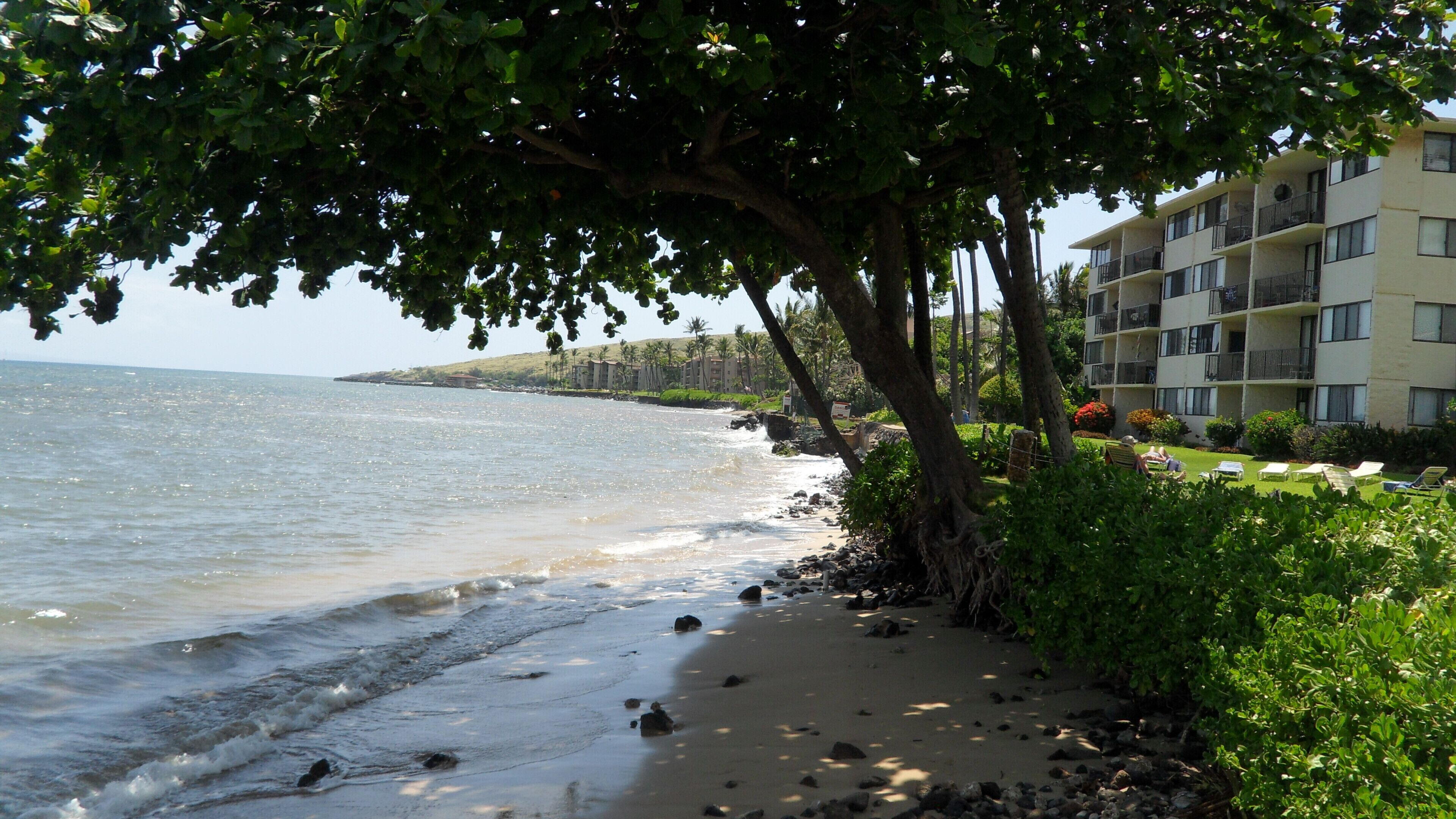 On the beach, sun loungers, beach towels