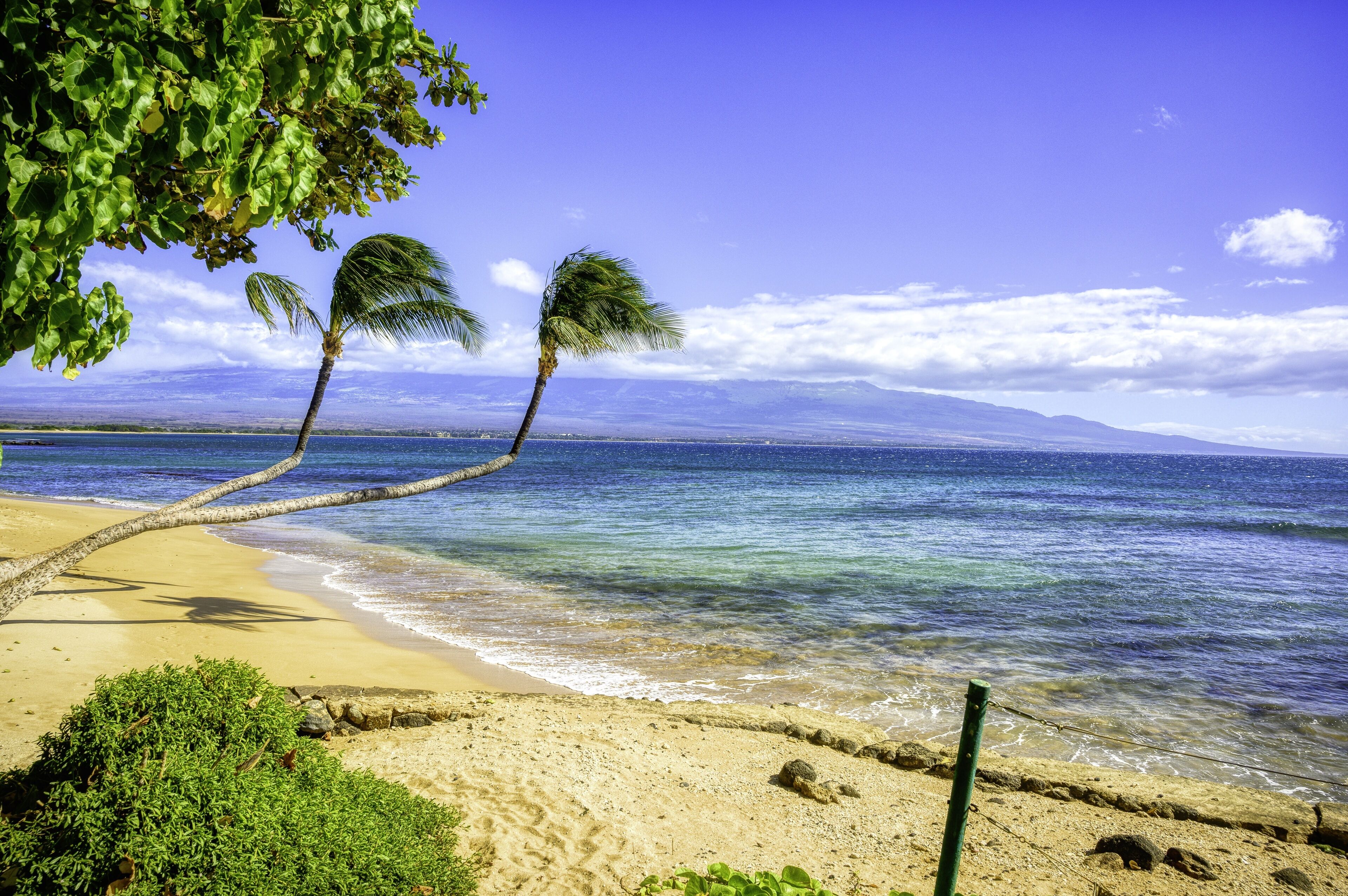 Aan het strand, ligstoelen aan het strand, strandlakens