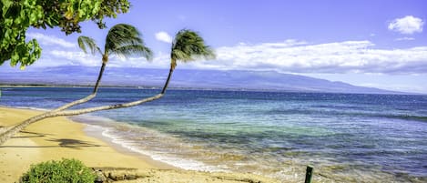 Accommodatie ligt op het strand, ligstoelen, strandlakens