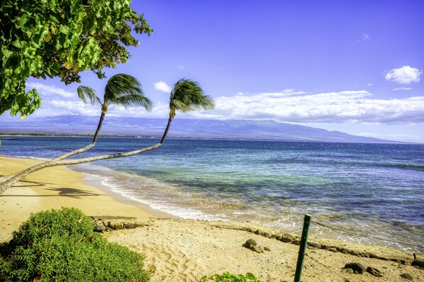 En la playa, camastros y toallas de playa