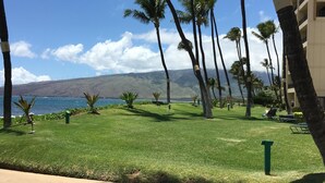 A well-maintained lawn with palm trees and a view of the ocean. - SUGAR BEACH RESORT 10% DSCNT on 7 days Stay - Renovated Condo 201 (Kihei)