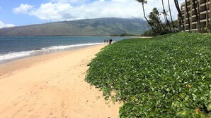 A beach with a sandy shore, a clear blue sky, and a building with multiple floors in the background. - SUGAR BEACH RESORT 10% DSCNT on 7 days Stay - Renovated Condo 201 (Kihei)
