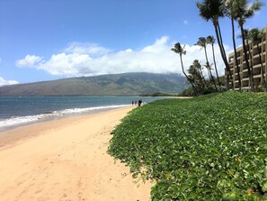 在海滩、沙滩椅、沙滩毛巾