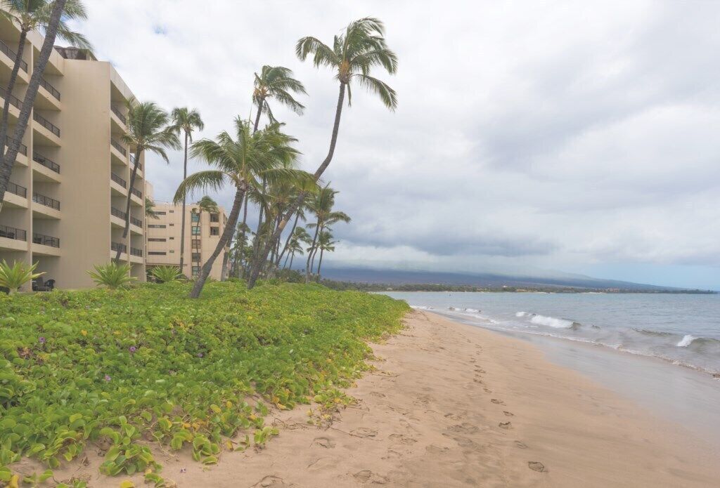 On the beach, sun loungers, beach towels