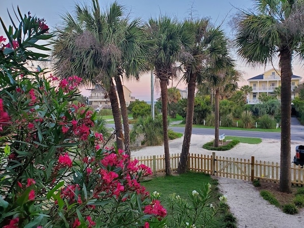 A residential area with palm trees, a wooden fence, and a road.