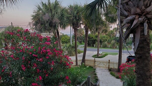 A pathway leading to a gated area with palm trees and flowering plants. - Beach is 50 steps away and you have PRIVATE beach access and wonderful views (Folly Beach)