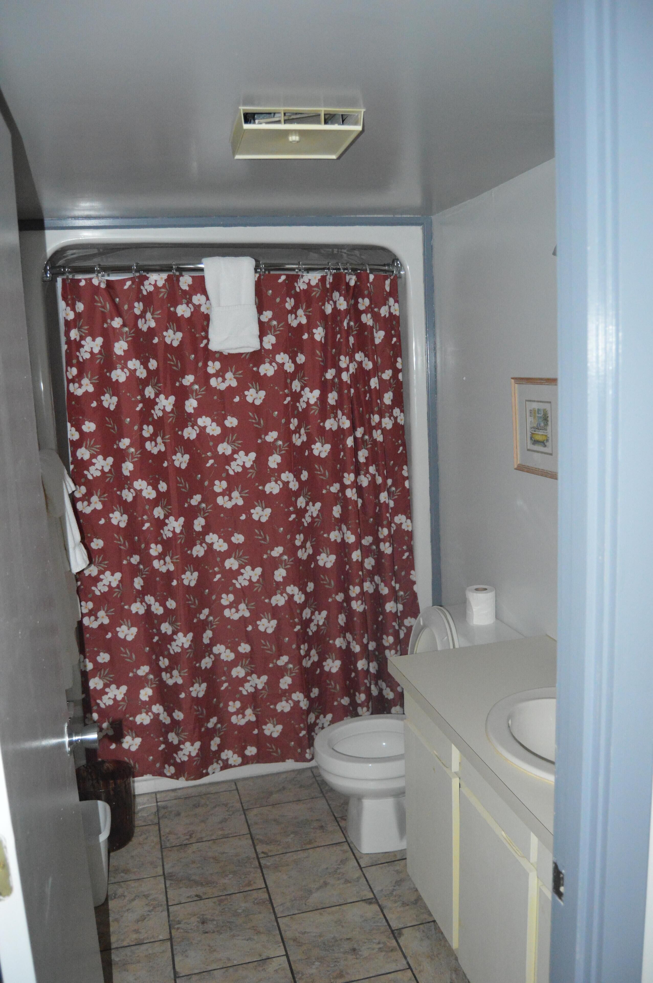 シャワー付き浴槽、ヘアドライヤー、タオル、石鹸