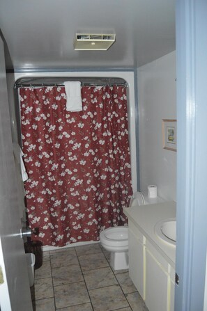 Ensemble douche/baignoire, sèche-cheveux, serviettes fournies, savon