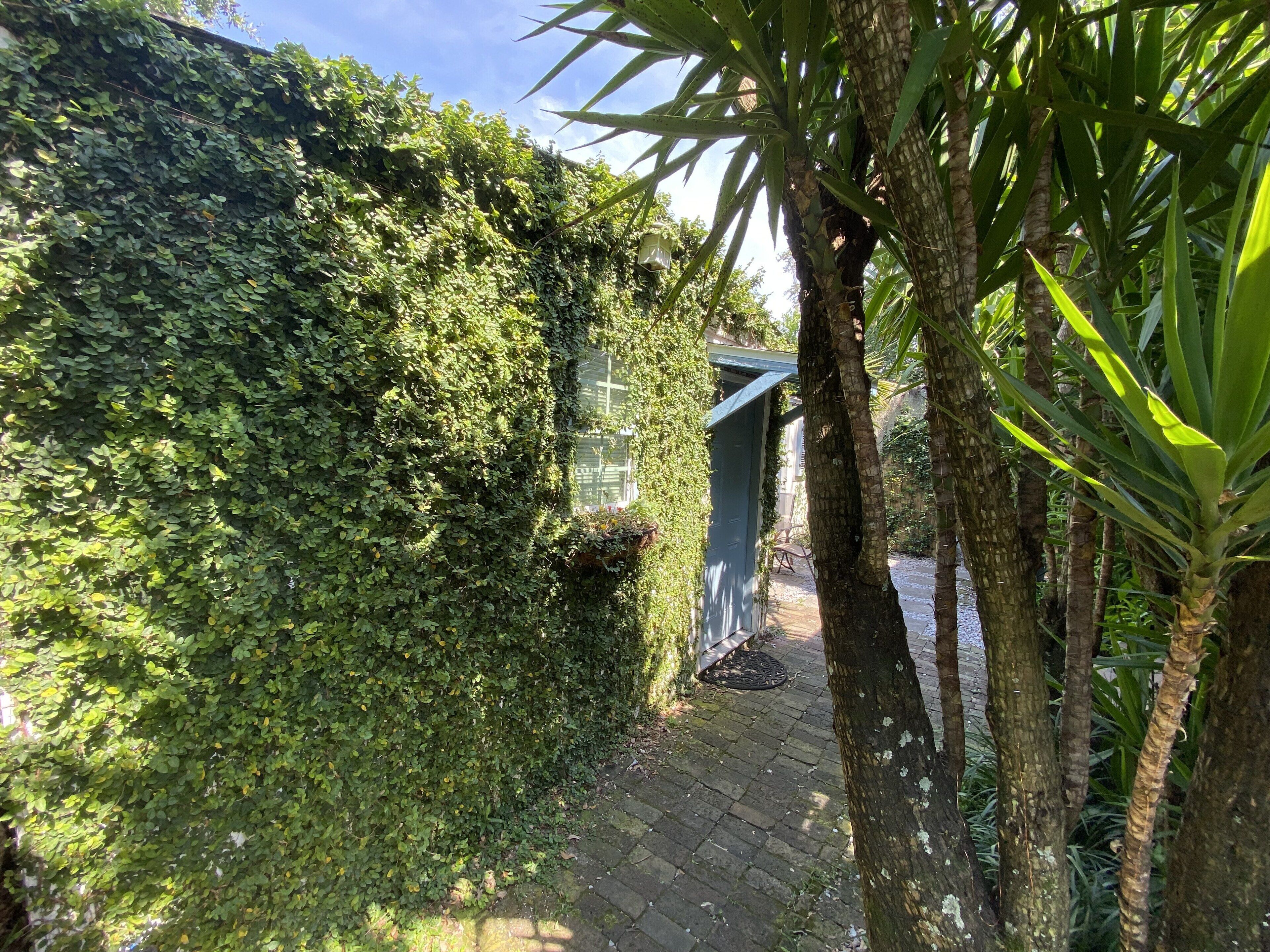 A narrow pathway surrounded by dense foliage and a small structure with a sloped roof.
