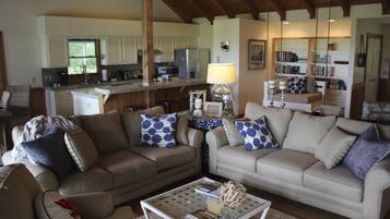 Smart TV, fireplace, books