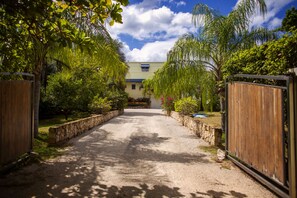 Property grounds - Extraordinary Oceanfront Luxury Villa w/Infinity Pool & Full Concierge Service (Playa Negra)
