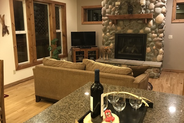 living room with gas fireplace