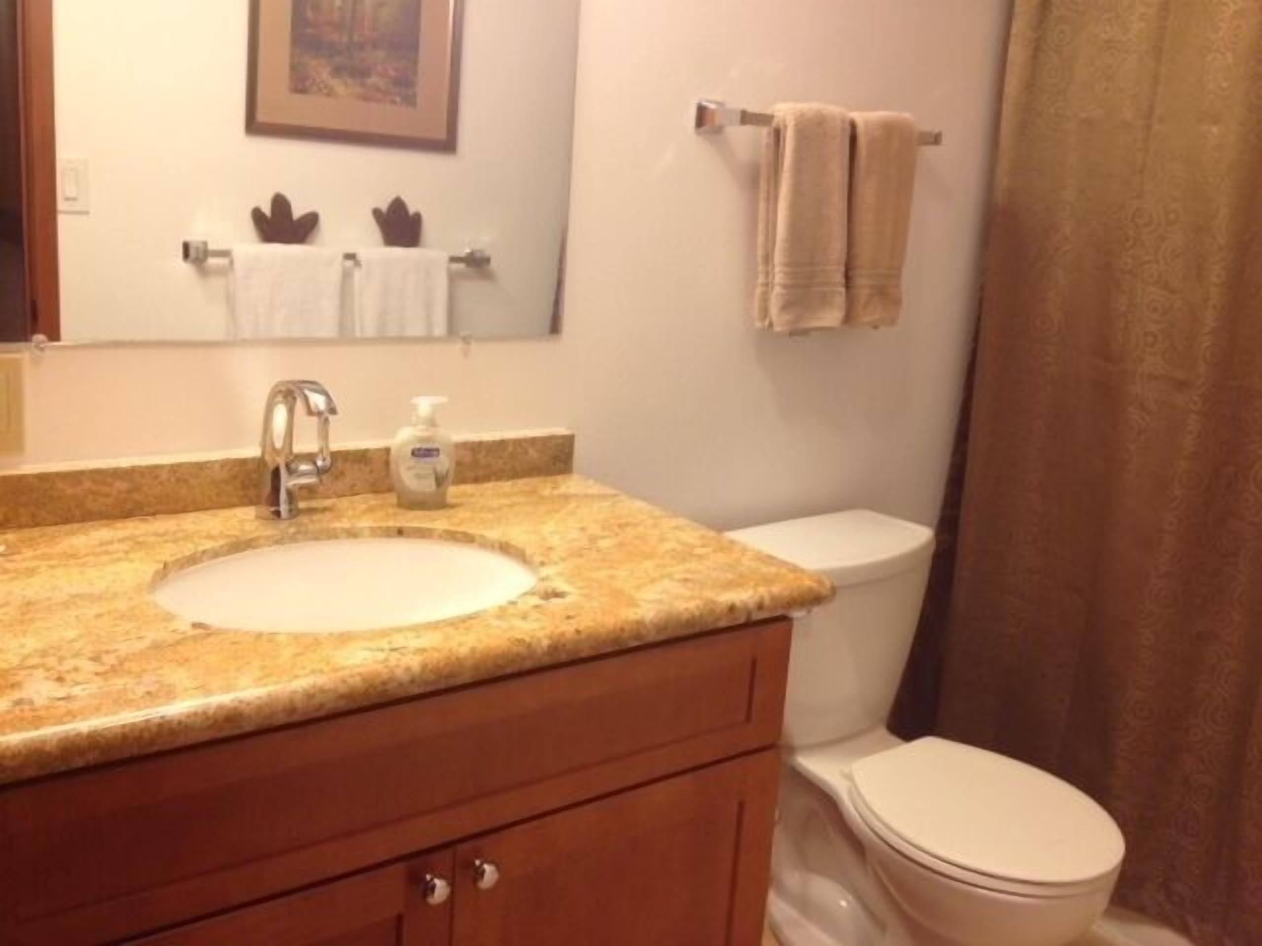 Combined shower/tub, hair dryer, towels, toilet paper