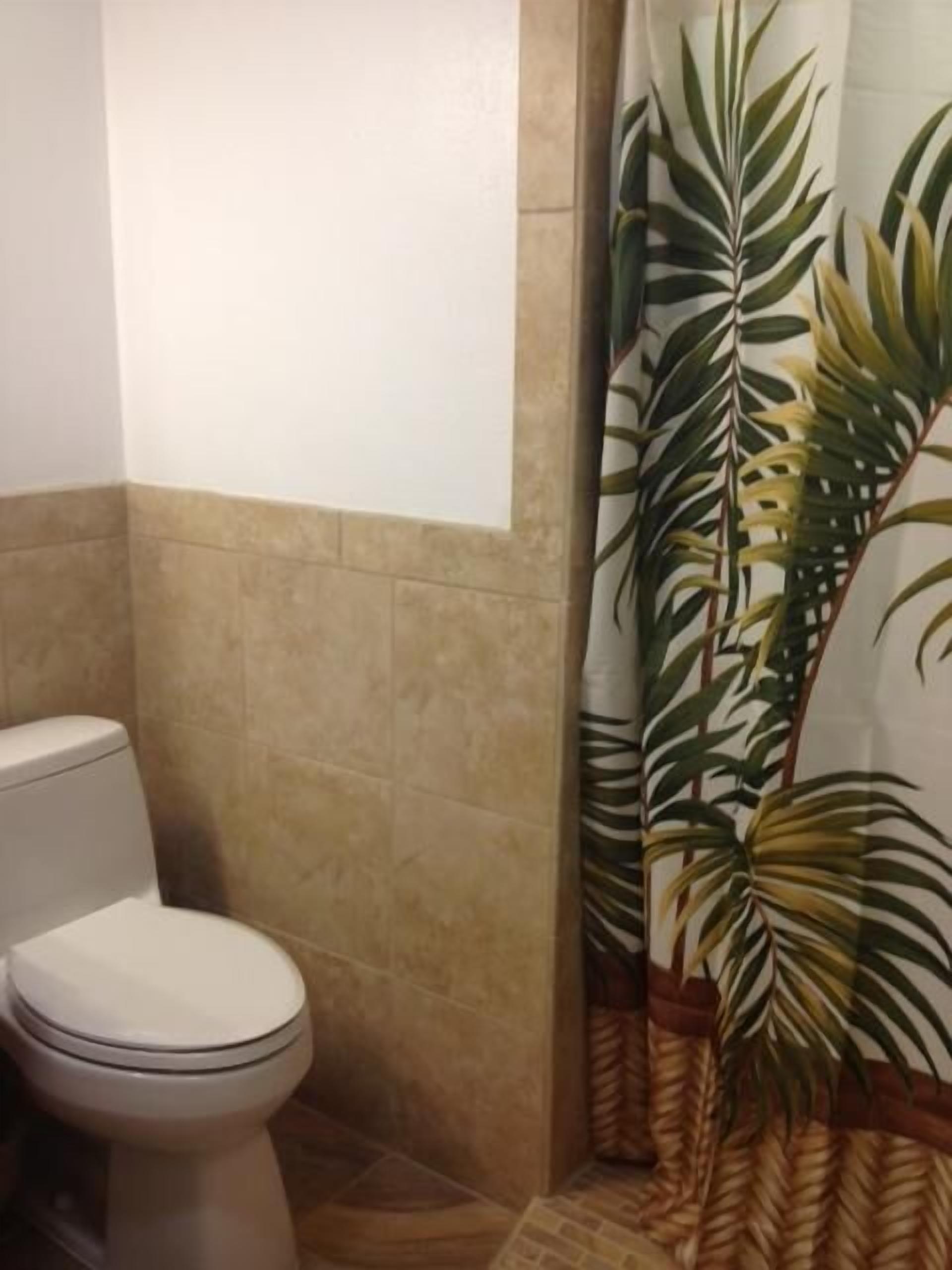 Combined shower/tub, hair dryer, towels, toilet paper