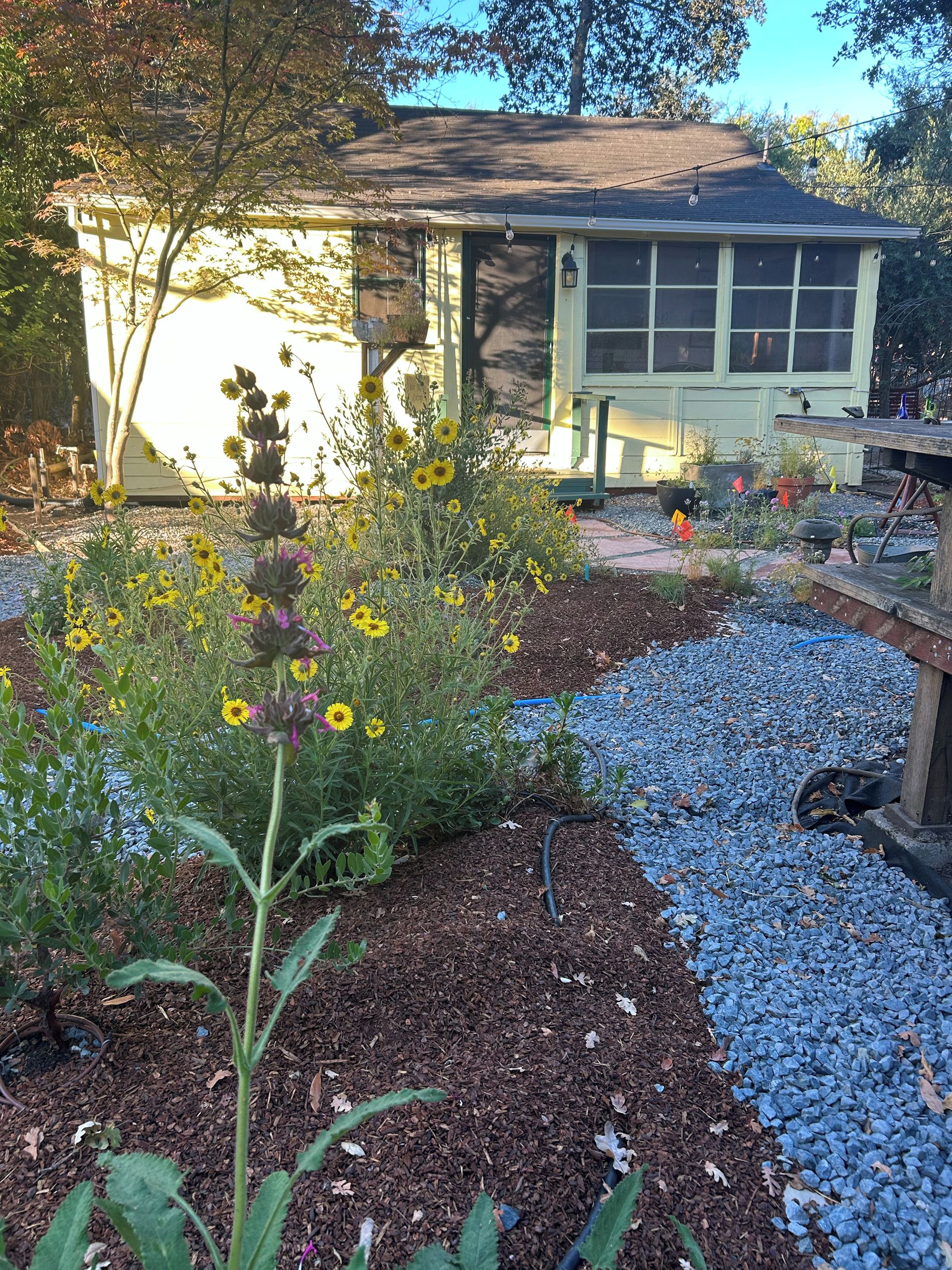 A garden with a variety of plants and flowers, a wooden deck, and a house with a green roof and windows.