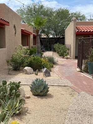 Un patio con cactus, una palmera y un camino de ladrillos.